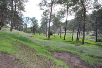 Enlarge photo 33