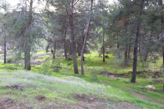 Enlarge photo 34