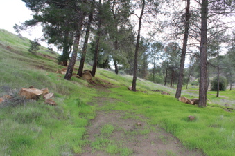 Enlarge photo 36