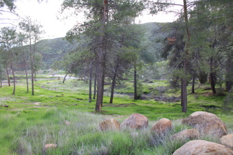 Enlarge photo 38