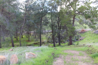 Enlarge photo 37