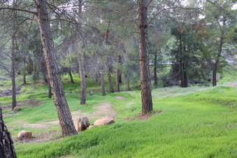 Enlarge photo 39