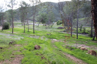 Enlarge photo 40