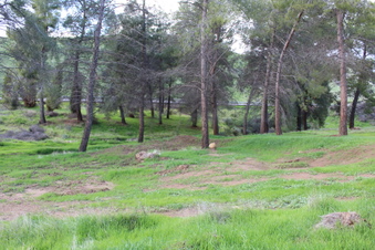 Enlarge photo 42