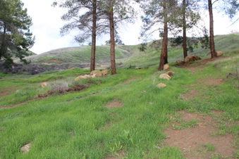 Enlarge photo 49