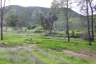 Enlarge photo 43