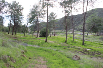 Enlarge photo 44
