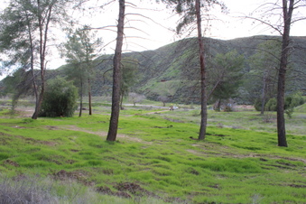 Enlarge photo 46
