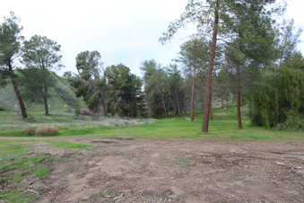 Enlarge photo 47
