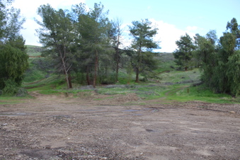 Enlarge photo 48