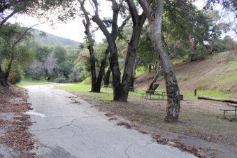 Enlarge photo 5