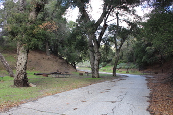 Enlarge photo 7