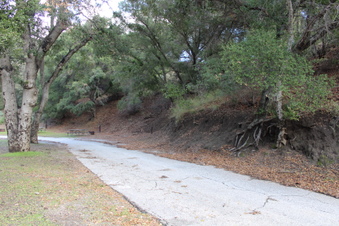 Enlarge photo 8