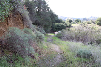 Enlarge photo 16