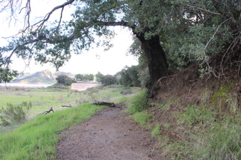 Enlarge photo 17