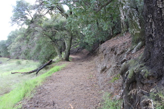Enlarge photo 18