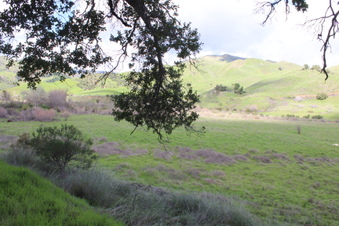 Enlarge photo 20