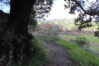 Enlarge photo 21