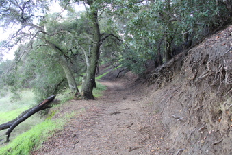 Enlarge photo 22