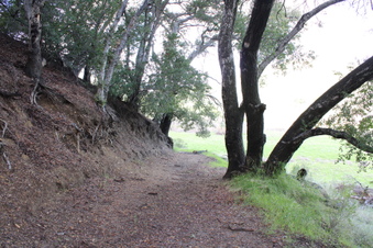 Enlarge photo 23
