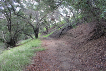 Enlarge photo 24