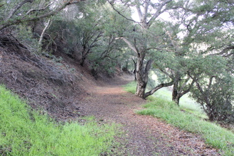 Enlarge photo 25