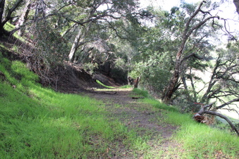 Enlarge photo 27