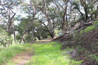 Enlarge photo 28