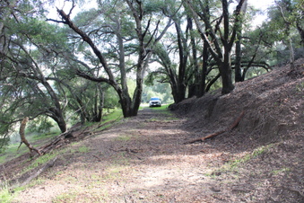 Enlarge photo 29