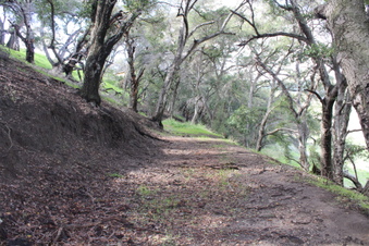 Enlarge photo 32