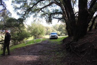Enlarge photo 31