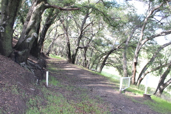 Enlarge photo 33