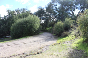 Enlarge photo 34