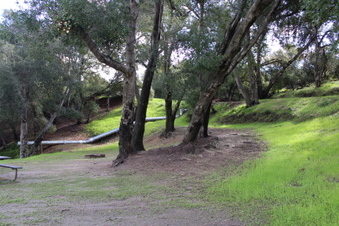 Enlarge photo 41