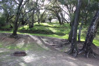 Enlarge photo 42