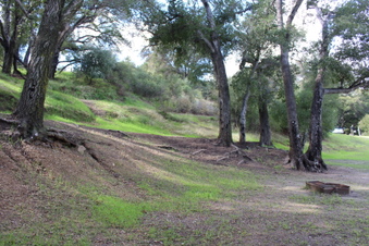 Enlarge photo 43