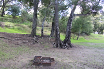 Enlarge photo 44