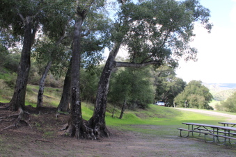 Enlarge photo 45
