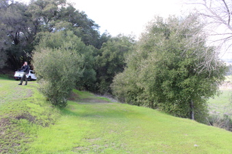 Enlarge photo 46