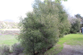 Enlarge photo 48