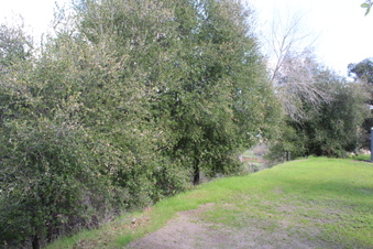 Enlarge photo 49