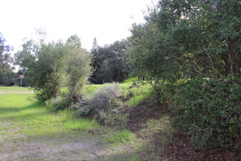 Enlarge photo 50