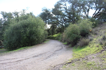 Enlarge photo 51