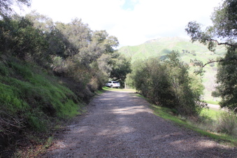 Enlarge photo 52