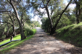 Enlarge photo 53