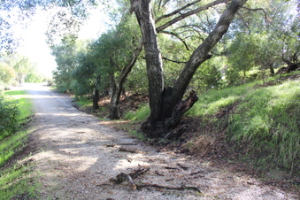 Enlarge photo 54