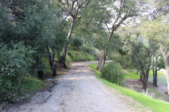 Enlarge photo 55
