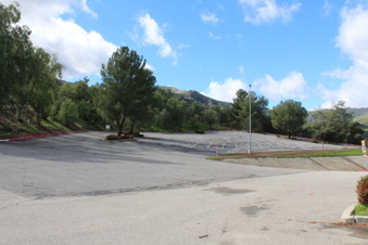 Enlarge photo 61