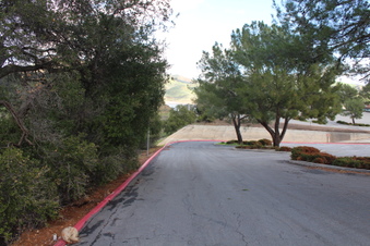 Enlarge photo 68
