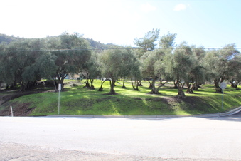 Enlarge photo 79